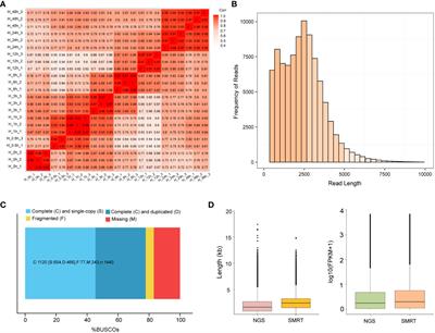 Construction of heat stress regulation networks based on  - Frontiers